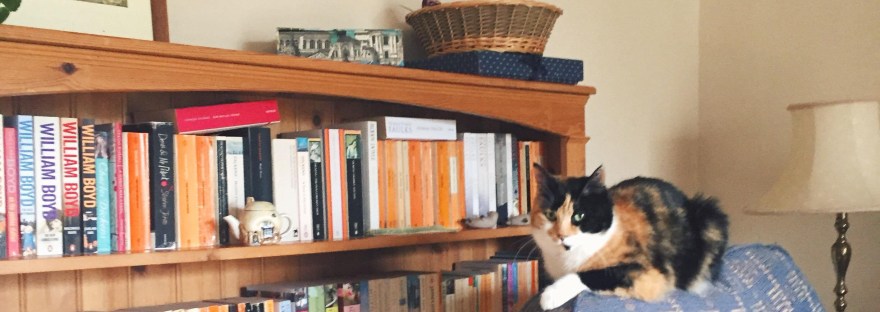 calico-cat-bookshelf-vintage-interiors
