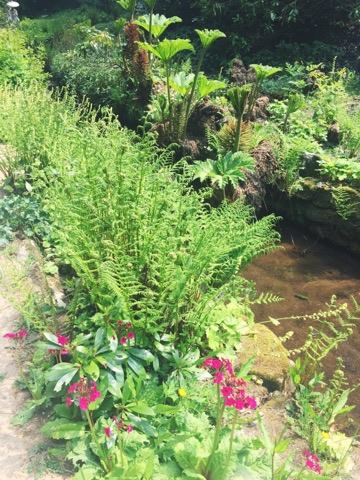 gardens-summer-pretty-national-trust-stream