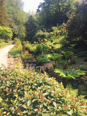 summer-pretty-national-trust-stream-gardens